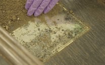 Catching a Killer: A Diary from the Grave thumbnail