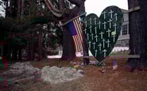 Surviving Sandy Hook thumbnail