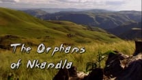 Orphans of Nkandla thumbnail