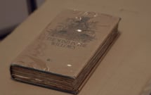 Catching a Killer: The Wind in the Willows Murder thumbnail