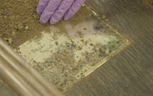 Catching a Killer: A Diary from the Grave thumbnail