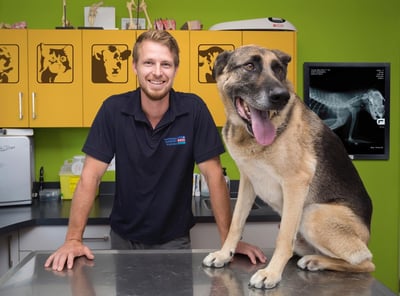 Pet Medics thumbnail