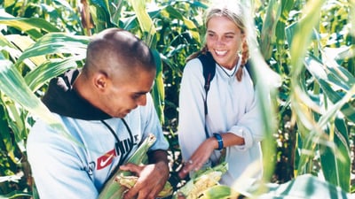 Beneath Clouds thumbnail