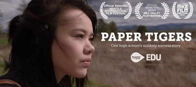 Paper Tigers thumbnail