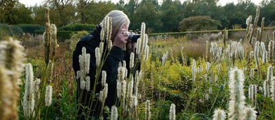 Five Seasons thumbnail