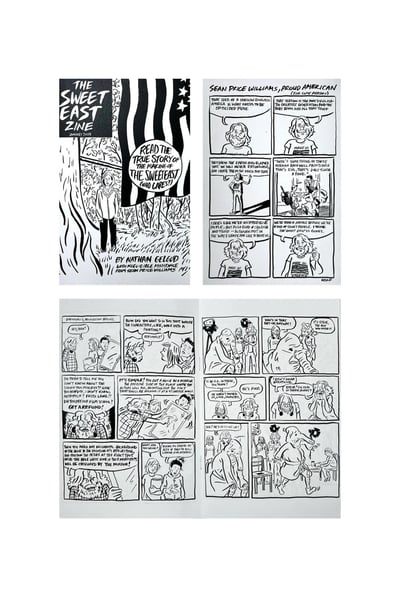 The Sweet East Original Comic Book