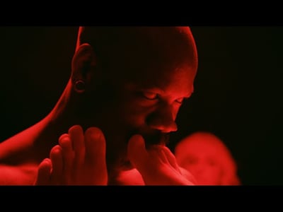 The Visitor thumbnail