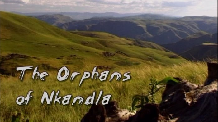 Orphans of Nkandla