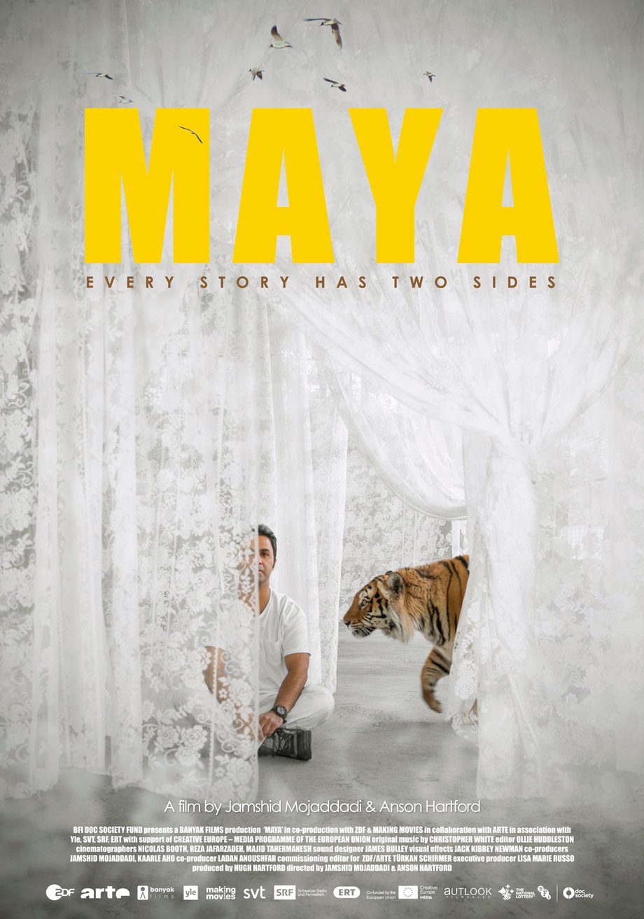 MAYA